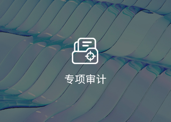 专项审计
