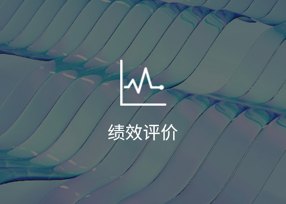 绩效评价